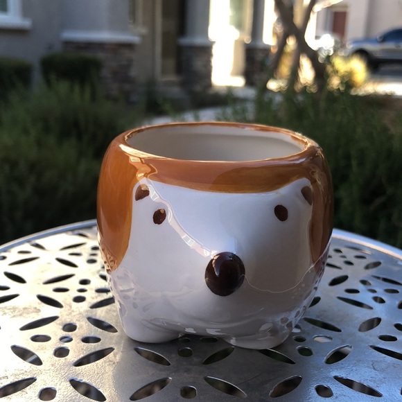 Harvey the Hedgehog Small Ceramic Planter Pot Decor & 2 Pairs of Socks Gift Set - Picture 3 of 14